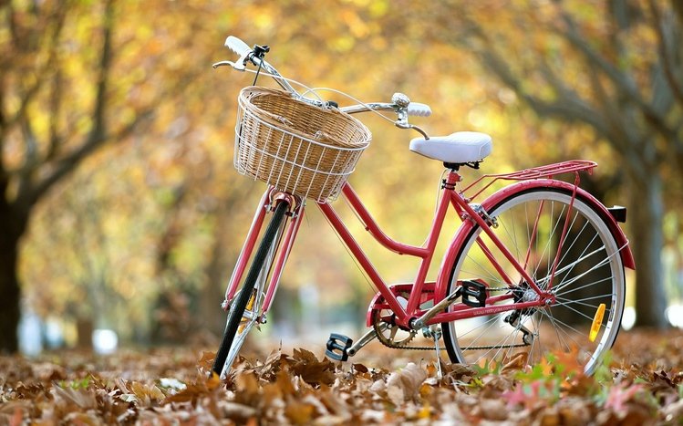 Bicycle Theme screenshot #10