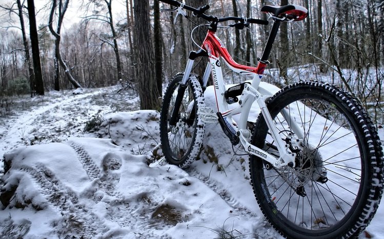 Bicycle Theme screenshot #2