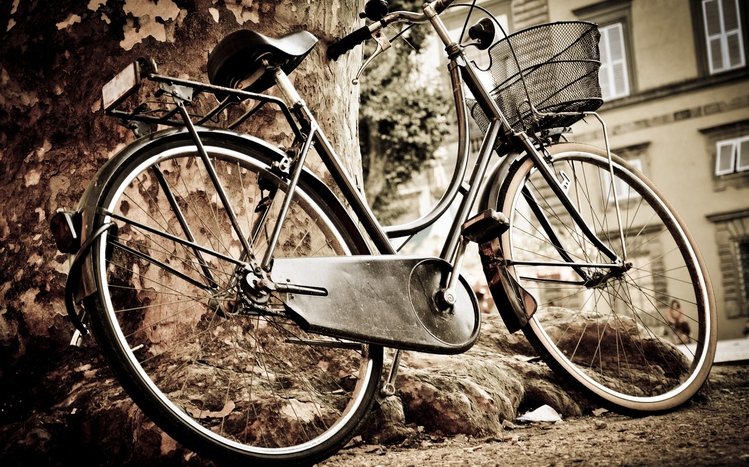 Bicycle Theme screenshot #3