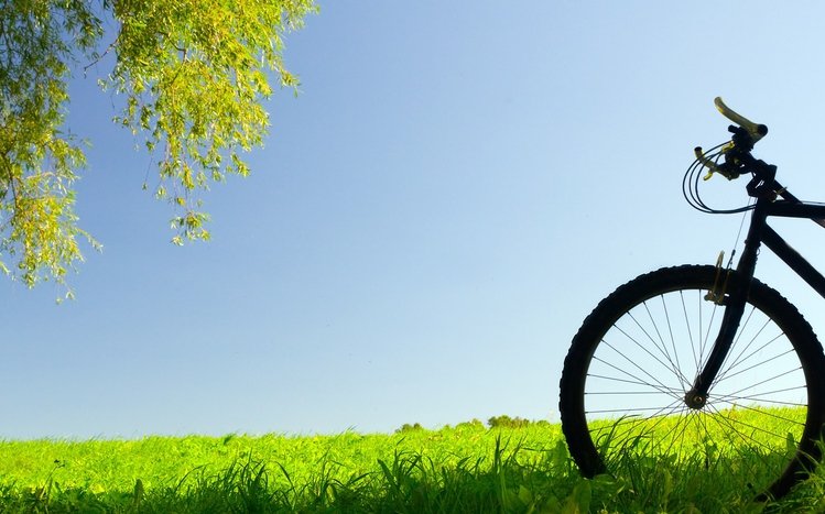 Bicycle Theme screenshot #5