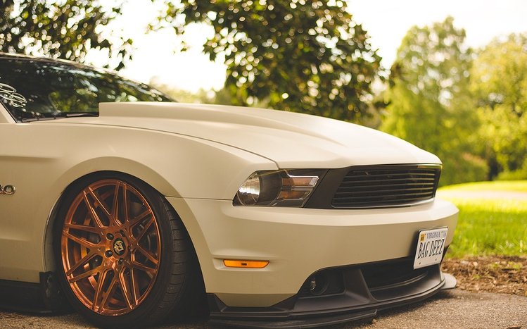 Ford Mustang Classic  Theme screenshot #12