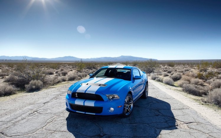 Ford Mustang Classic  Theme screenshot #14