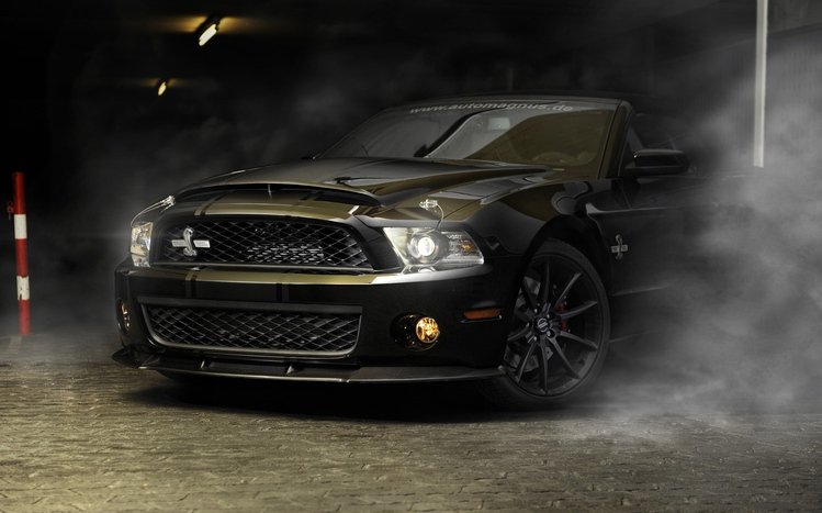 Ford Mustang Classic  Theme screenshot #11