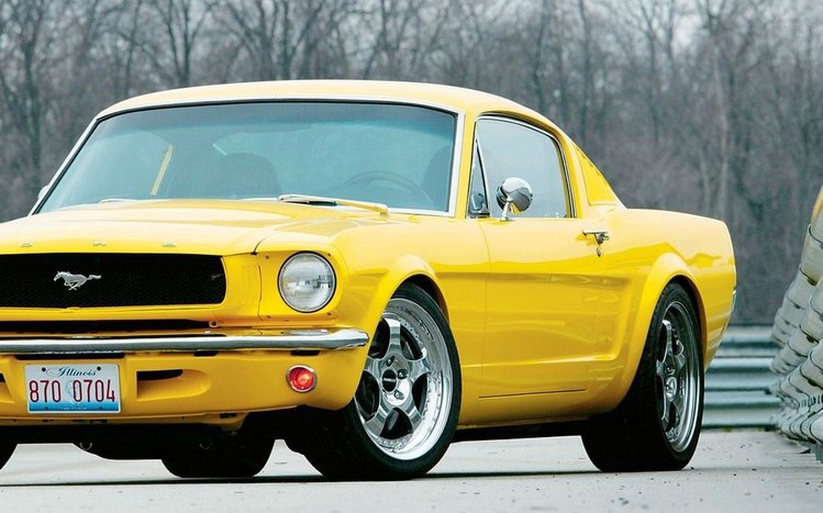 Ford Mustang Classic  Theme screenshot #6