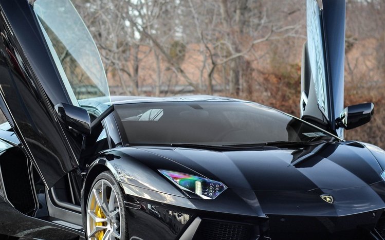 Lamborghini Black Theme screenshot #15