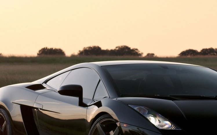 Lamborghini Black Theme screenshot #7