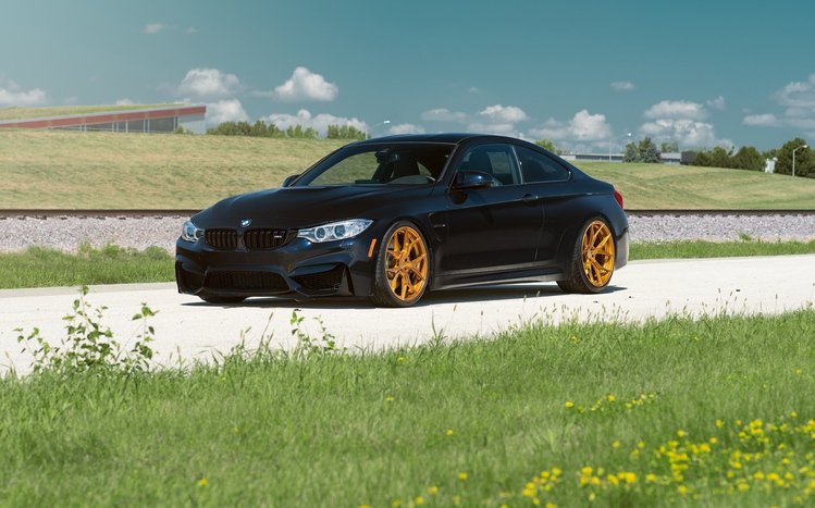 BMW M4 Theme screenshot #10