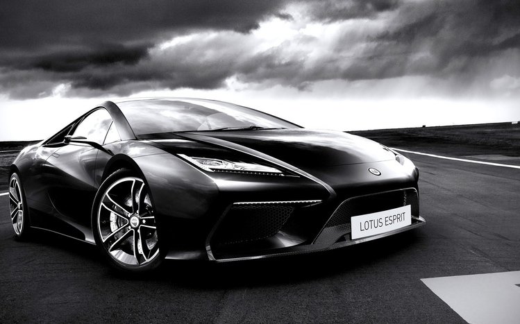 Lotus Theme screenshot #4