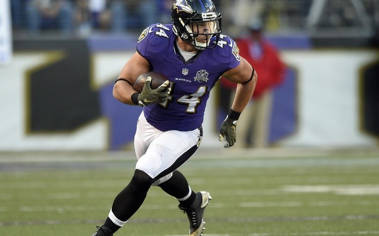 Baltimore Ravens Theme screenshot #6