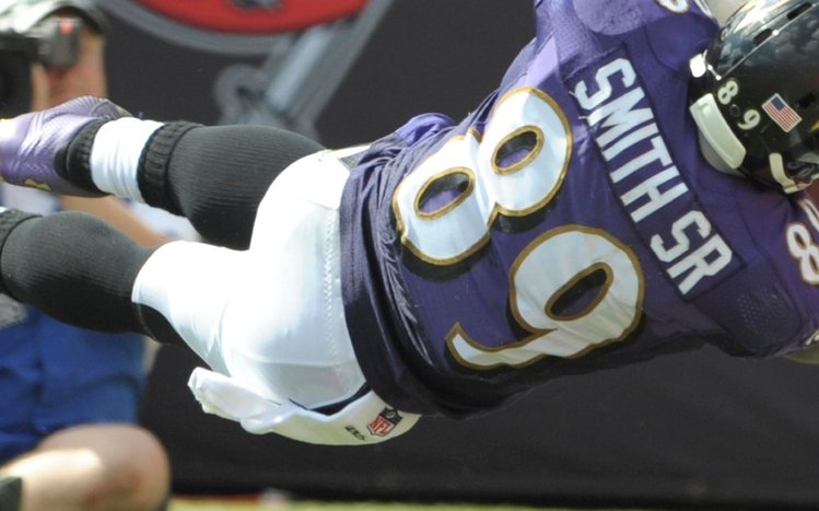 Baltimore Ravens Theme screenshot #3