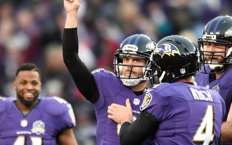 Baltimore Ravens Theme screenshot #12