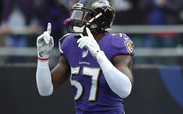 Baltimore Ravens Theme screenshot #9