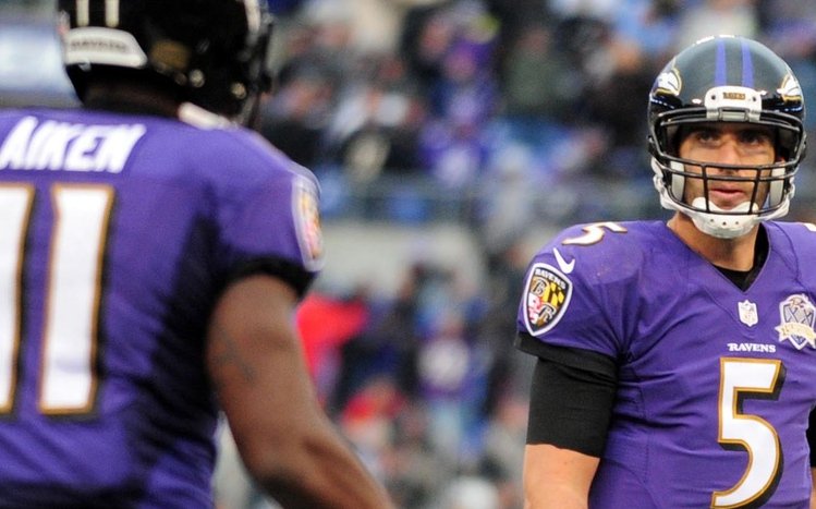 Baltimore Ravens Theme screenshot #8