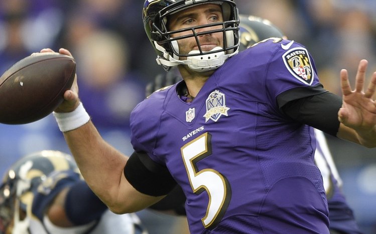 Baltimore Ravens Theme screenshot #13