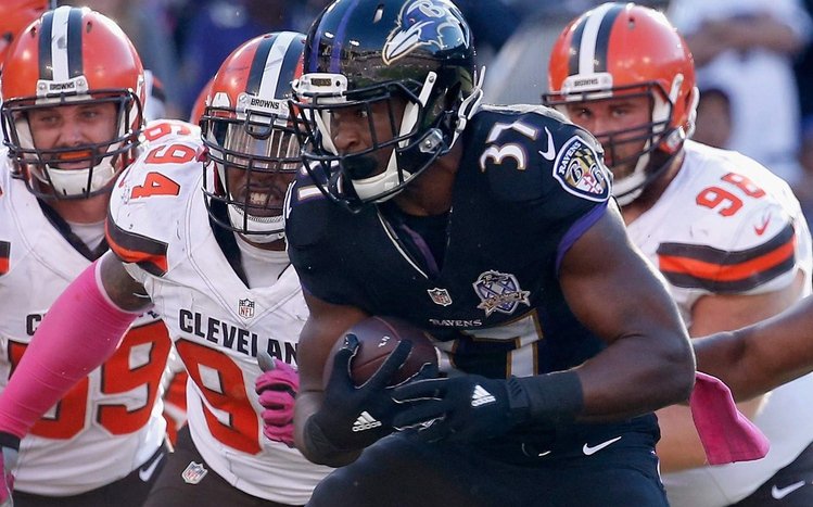 Baltimore Ravens Theme screenshot #14