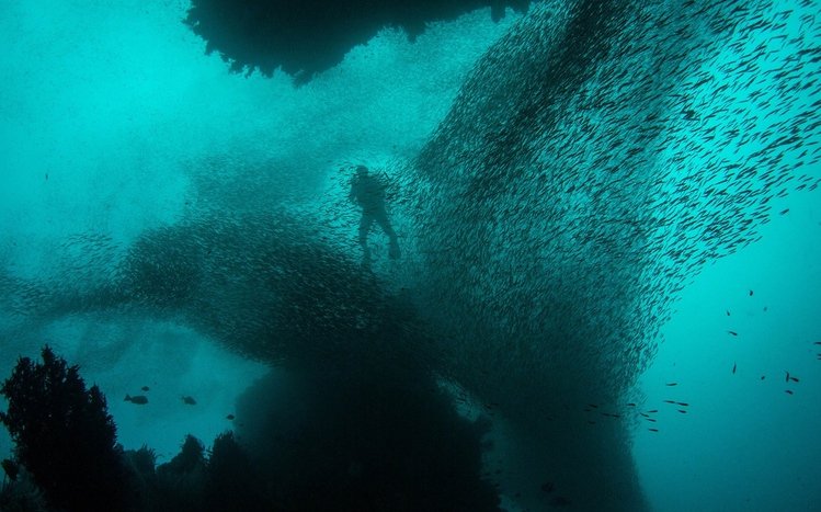 Scuba Diving Theme screenshot #10