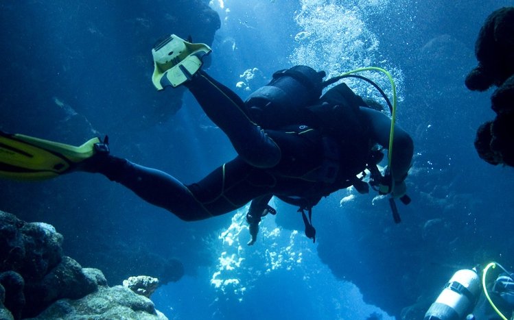 Scuba Diving Theme screenshot #12