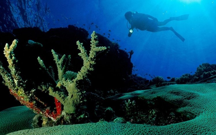 Scuba Diving Theme screenshot #5