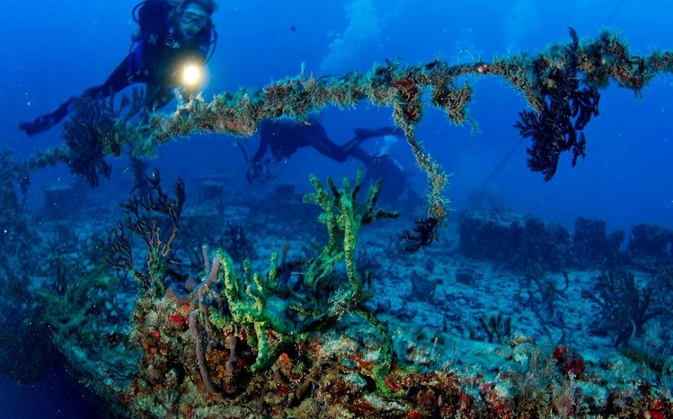 Scuba Diving Theme screenshot #2