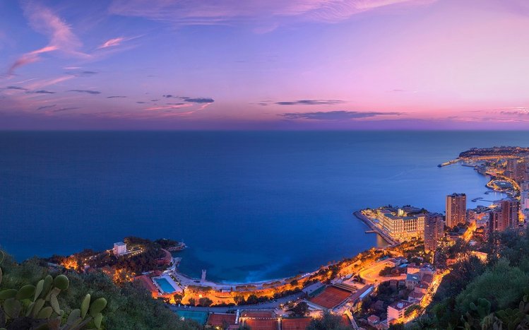 Monaco Theme screenshot #12