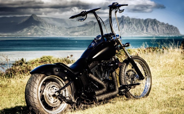 Chopper Bike Theme screenshot #3