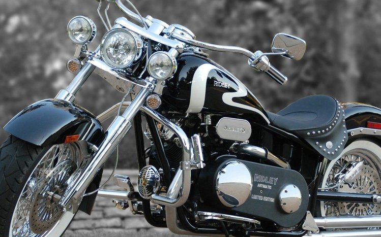 Chopper Bike Theme screenshot #6