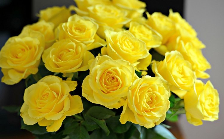 Yellow Flowers Theme screenshot #15