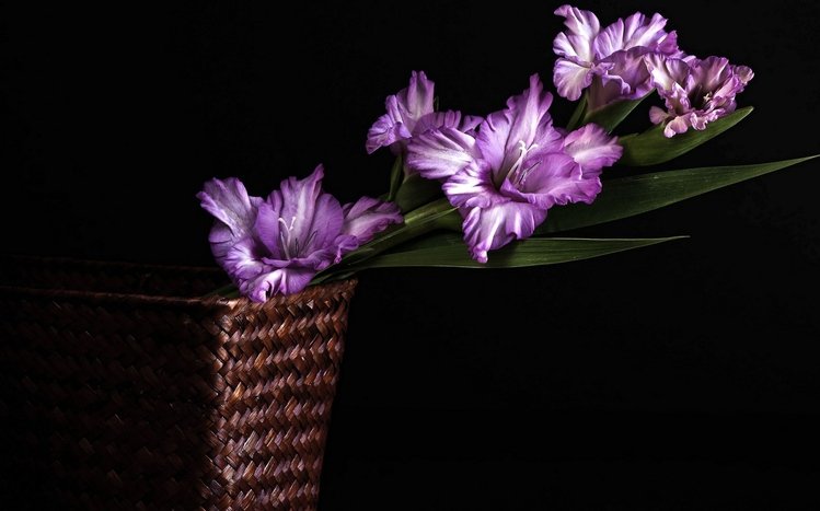 Black Flowers Theme screenshot #12