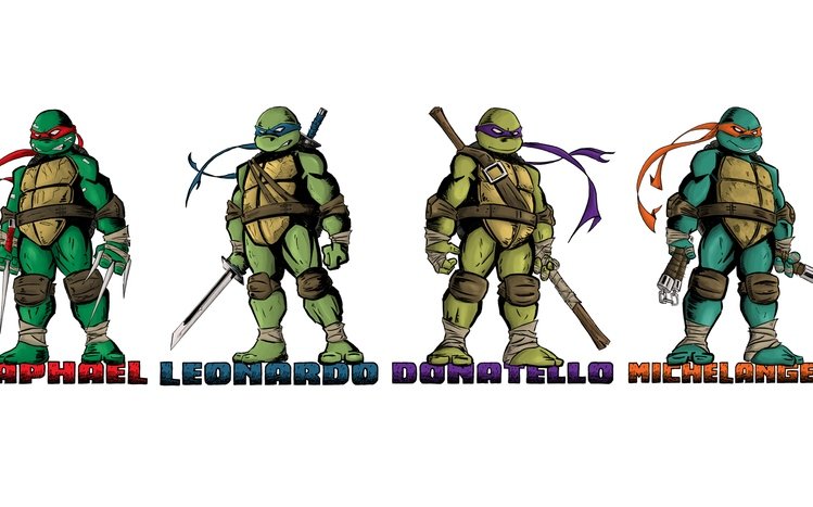 Teenage Mutant Ninja Turtles Theme screenshot #13