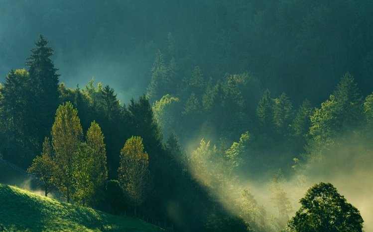 Green Mountain Theme screenshot #14