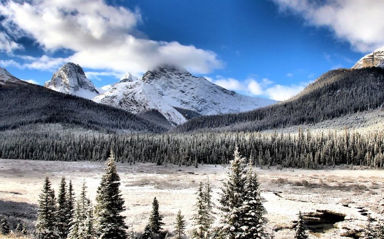 Snow Mountain Theme screenshot #10