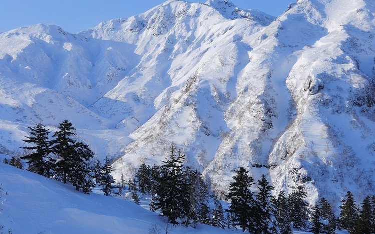 Snow Mountain Theme screenshot #11