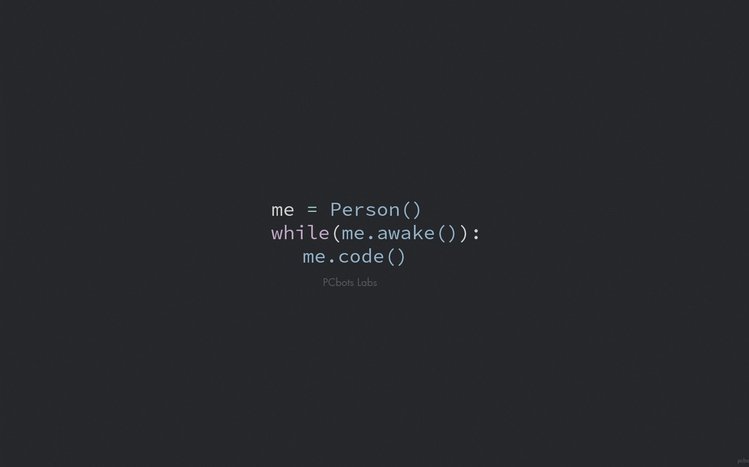 Programmer Theme screenshot #8