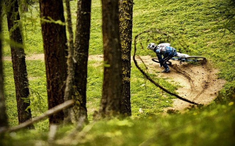 Downhill Biking Theme screenshot #3