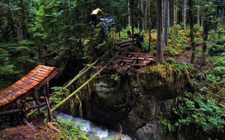 Downhill Biking Theme screenshot #2