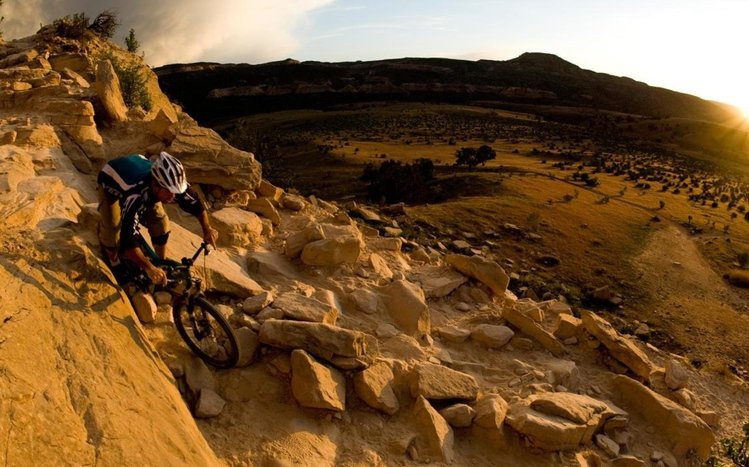 Downhill Biking Theme screenshot #9