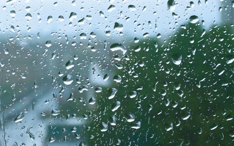 Rain in Forest Theme screenshot #15