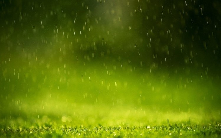 Rain in Forest Theme screenshot #13