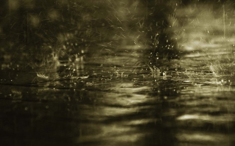 Rain in Forest Theme screenshot #9