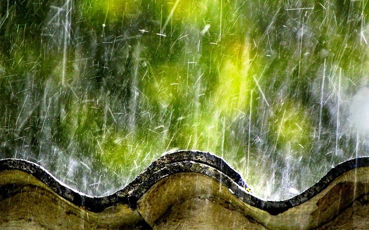 Rain in Forest Theme screenshot #11