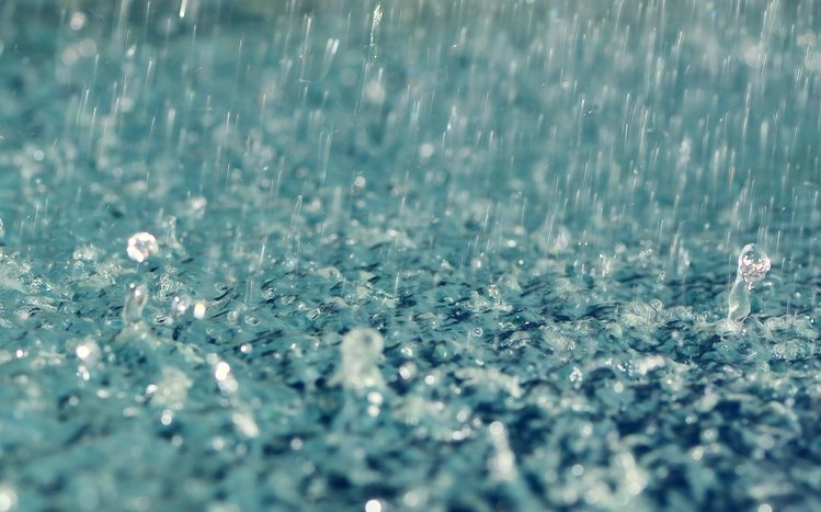 Rain in Forest Theme screenshot #6