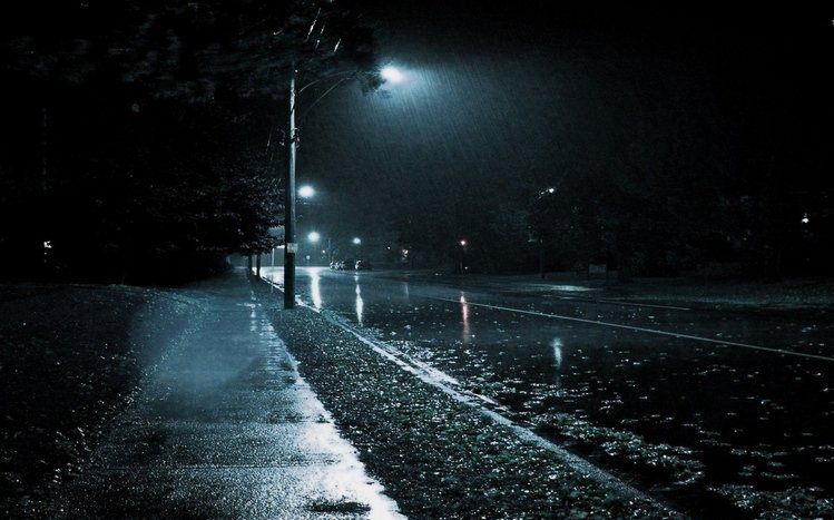 Rainy City Night Theme screenshot #2