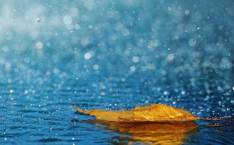 Rainy Nature Theme screenshot #1