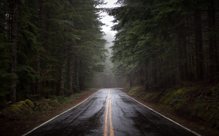 Rainy Nature Theme screenshot #7