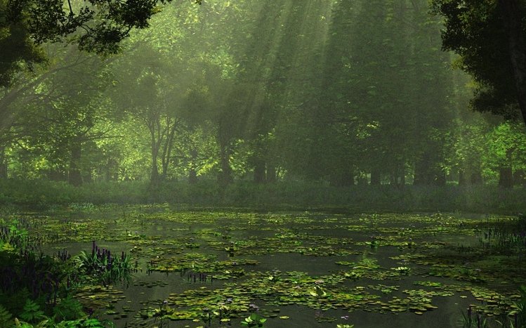 Rainy Nature Theme screenshot #8