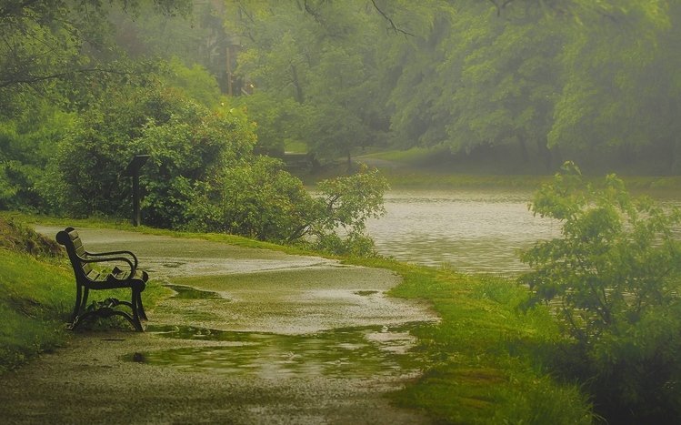Rainy Nature Theme screenshot #2