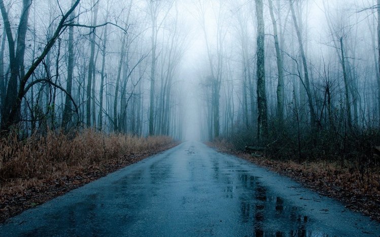 Rainy Nature Theme screenshot #9