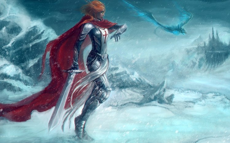 Female Knight Theme screenshot #7