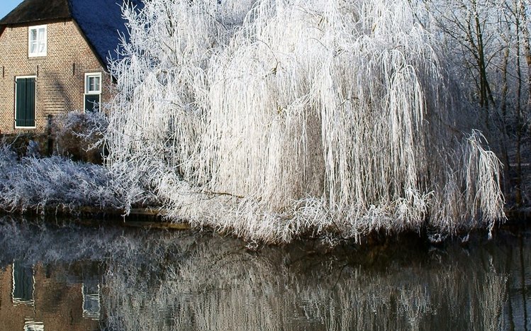 Reflection Theme screenshot #11