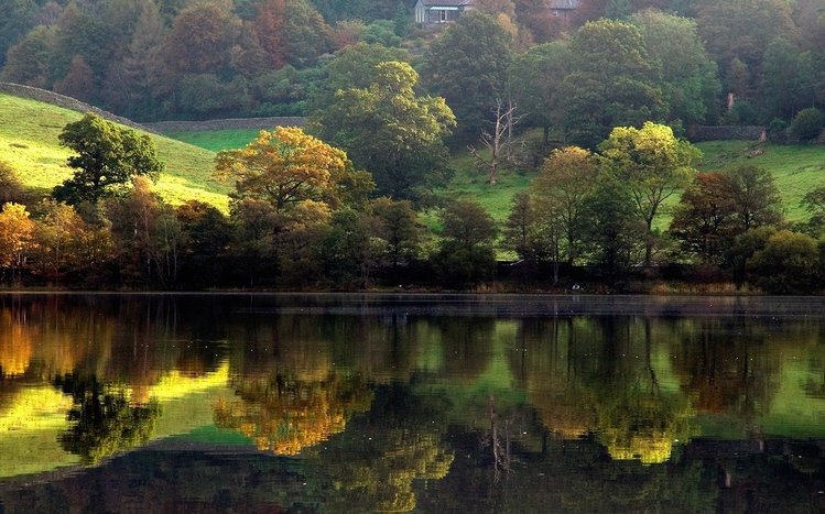 Reflection Theme screenshot #1